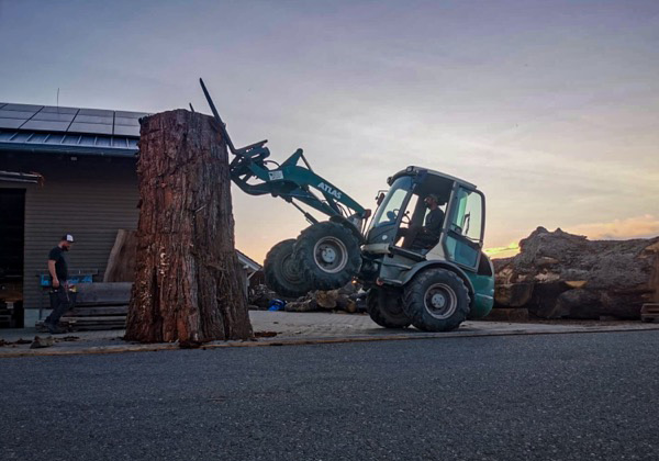 e40b0f49 983f 4cf4 8144 c1b3a9559d71_skaliert